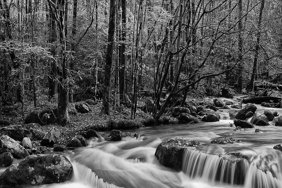 Great Smoky Mountain National Park