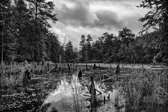 North Georgia landscape