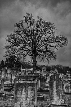 Greenwood Cemetery