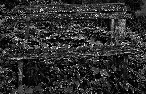 Cemetery Bench
