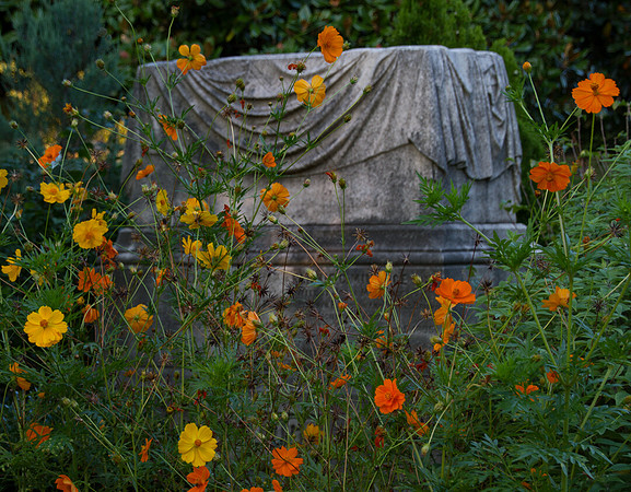 Bring Flowers of the Rarest