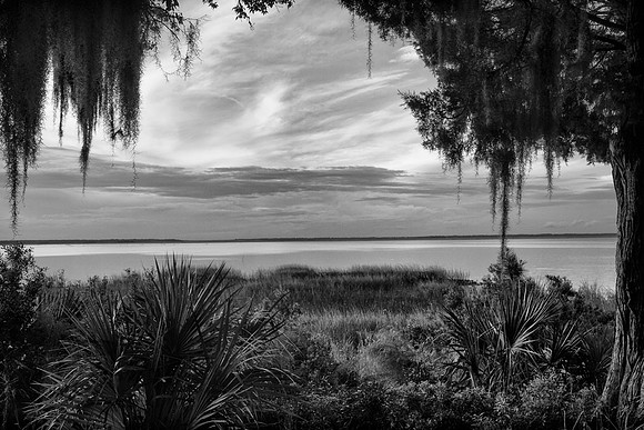 Sapelo Island