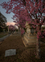 Lord, You are the Living Spring