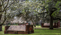 Behold the Lovely Springtime